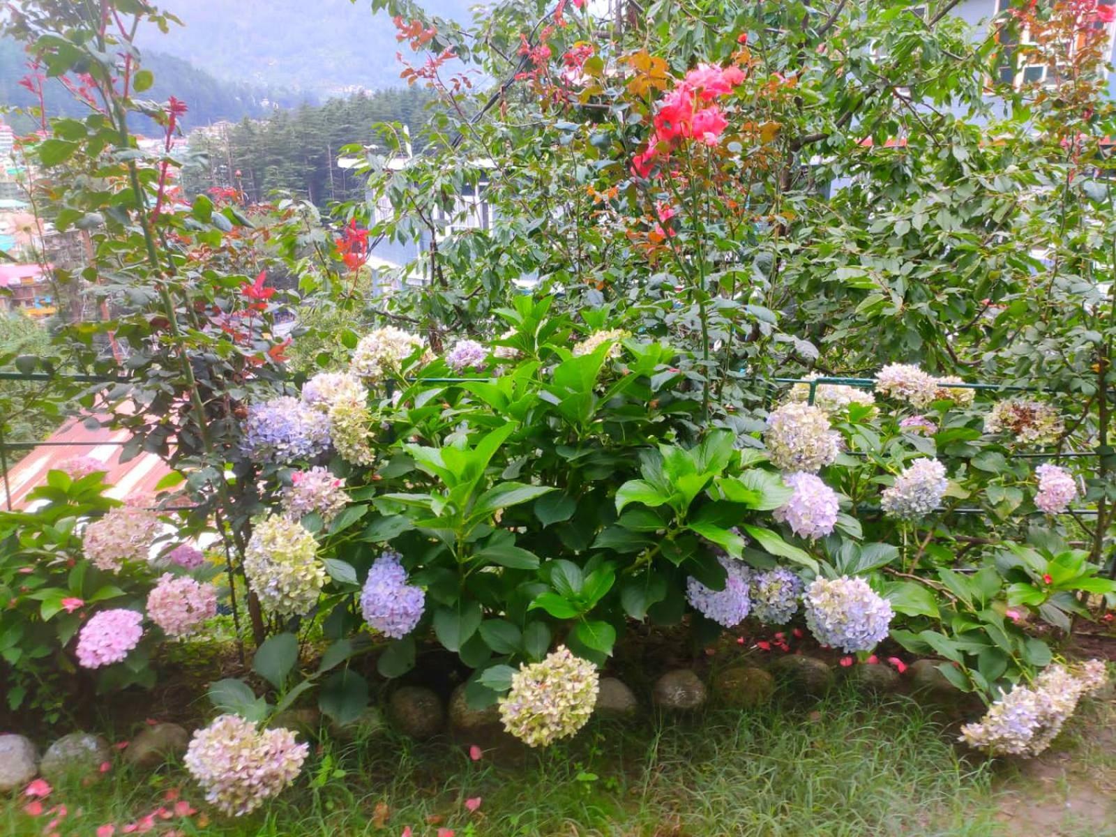 3-Bedroom Private Swiss Cottage Near Mall Road - Manali (Himachal Pradesh) — Photos 2
