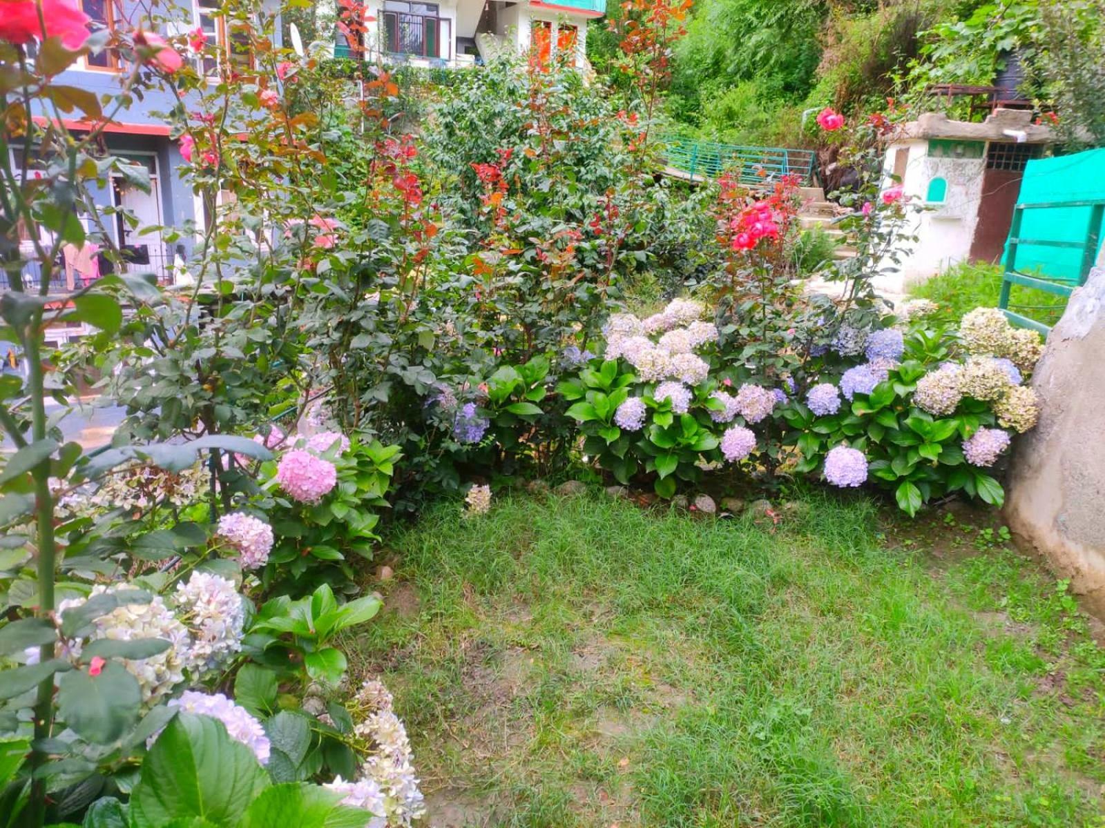 3-Bedroom Private Swiss Cottage Near Mall Road - Manali (Himachal Pradesh) — Photos 3